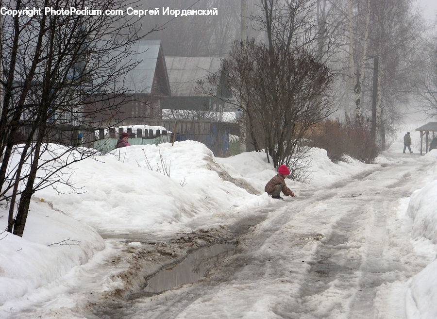 Blizzard, Outdoors, Snow, Weather, Winter