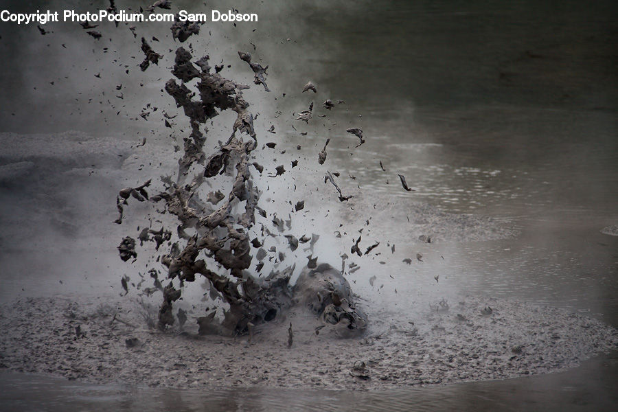 Flock, Mud, Soil, Arctic, Ice, Outdoors, Snow