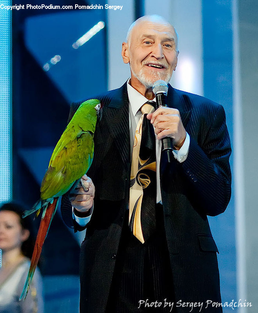 People, Person, Human, Bird, Macaw, Parrot, Parakeet