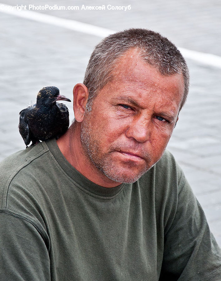 Human, People, Person, Face, Beak, Bird