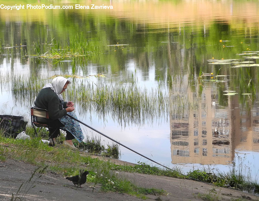 People, Person, Human, Planting, Backyard, Yard, Outdoors