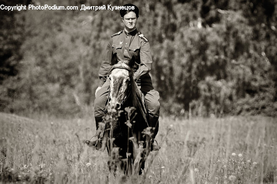 People, Person, Human, Bicycle, Bike, Vehicle, Field