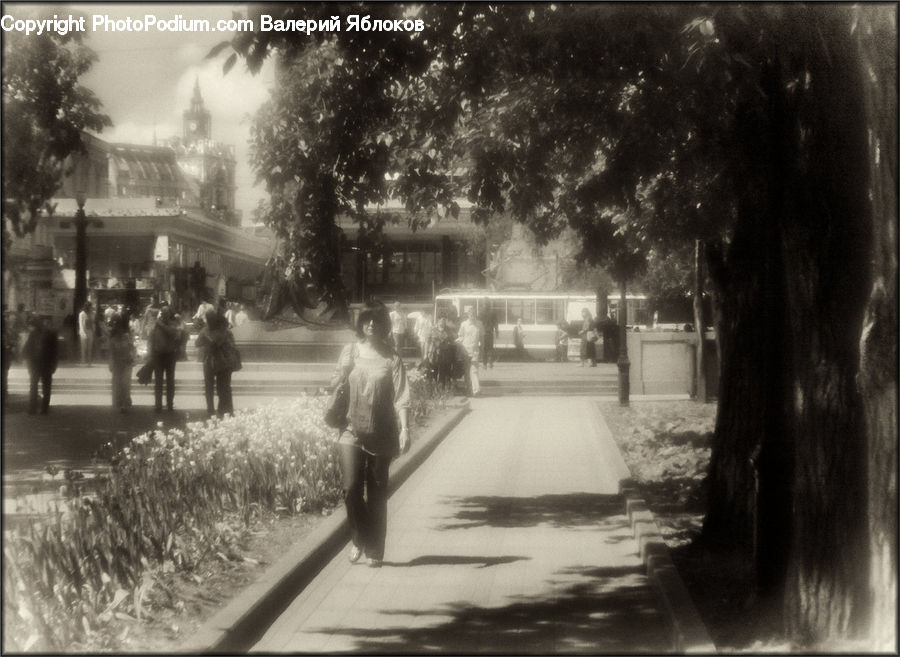 Boardwalk, Path, Pavement, Sidewalk, Walkway, Park, City