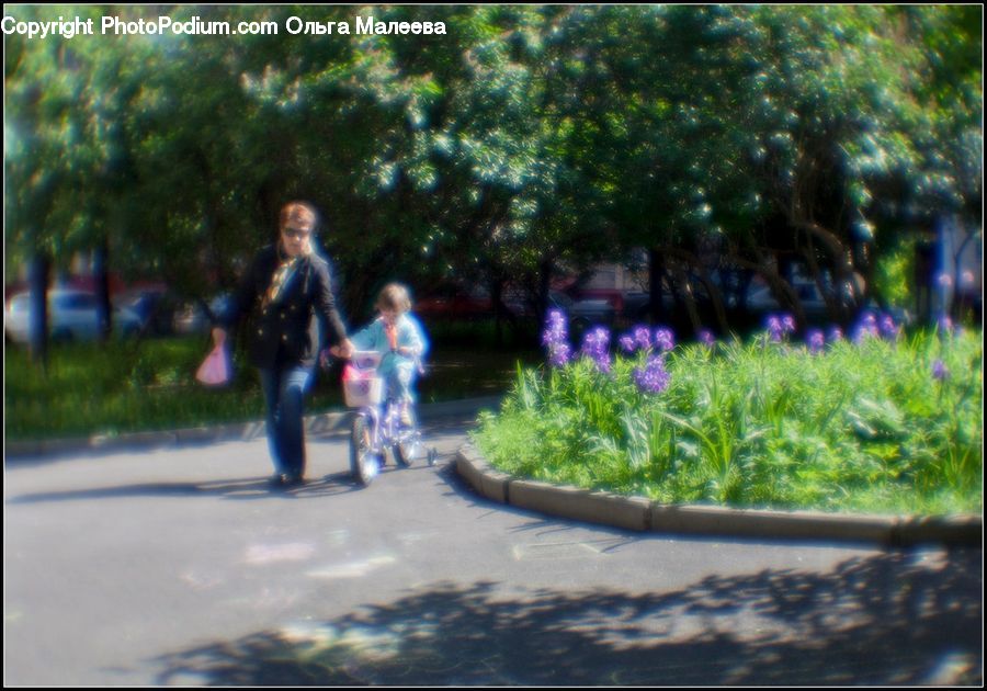 Human, People, Person, Plant, Potted Plant, Lavender, Leisure Activities
