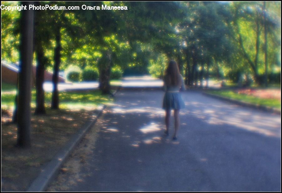 Dirt Road, Gravel, Road, Campus, Forest, Vegetation, Path