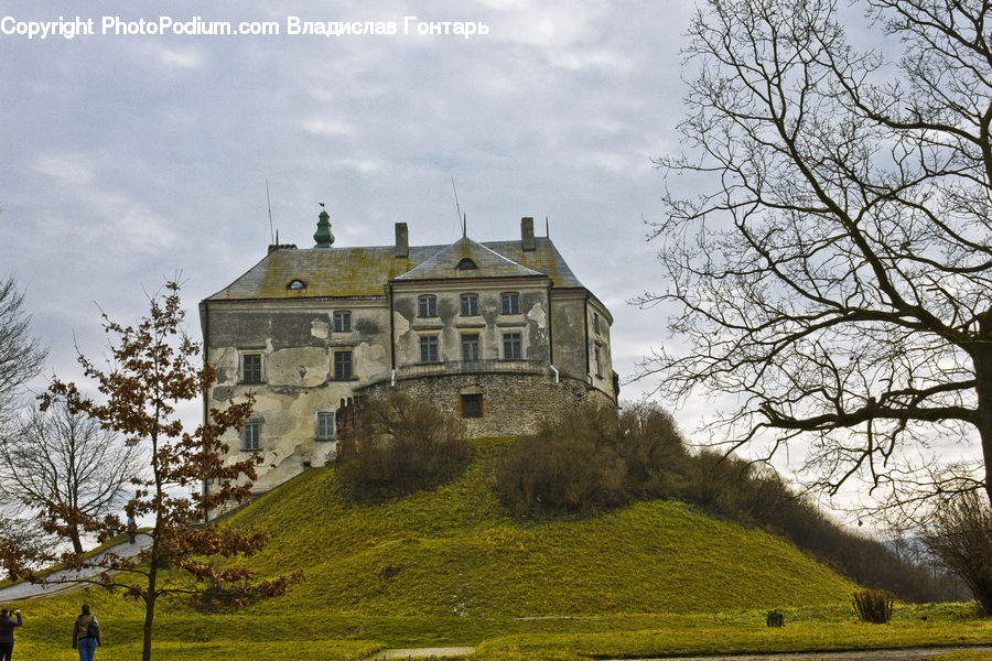 Architecture, Mansion, Castle, Fort, Building, Housing, Villa