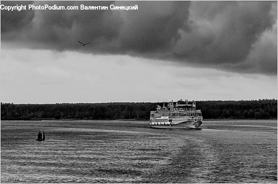 Cruise Ship, Ferry, Freighter, Ship, Tanker, Vessel, Field