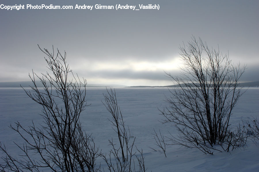 Field, Grass, Grassland, Plant, Ice, Outdoors, Snow