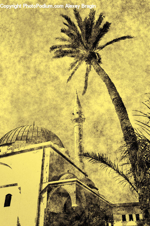 Art, Drawing, Building, Housing, Palm Tree, Plant, Tree