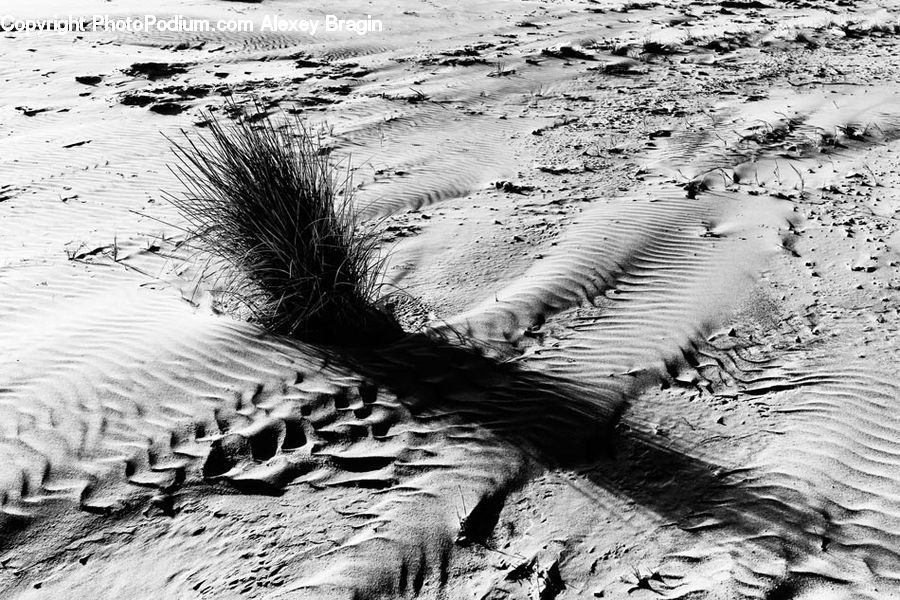 Outdoors, Sand, Soil, Ripple, Water