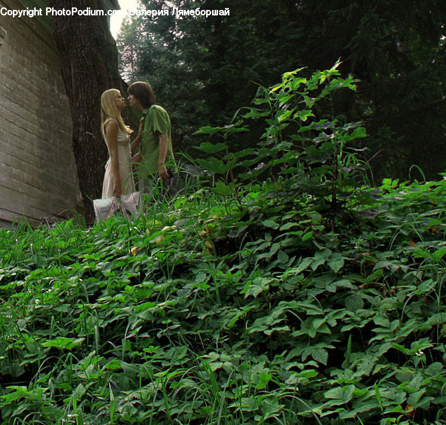 People, Person, Human, Forest, Jungle, Plant, Vegetation