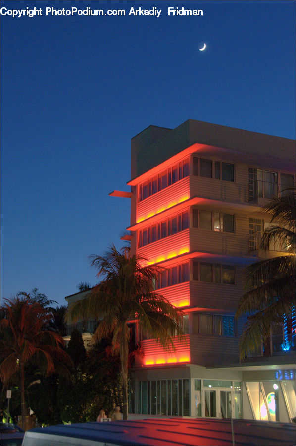 Building, Housing, Apartment Building, High Rise, Plant, Potted Plant, Lighting