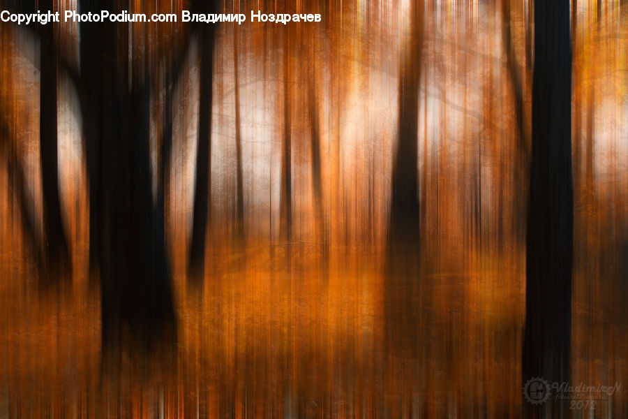 Wood, Curtain, Home Decor, Hardwood, Flare, Light, Sunlight