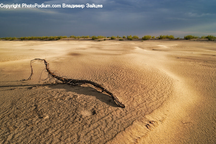 Dune, Outdoors, Desert