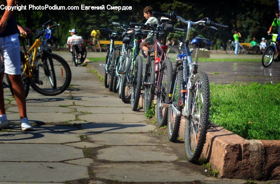 Human, People, Person, Bicycle, Bike, Vehicle, Cyclist