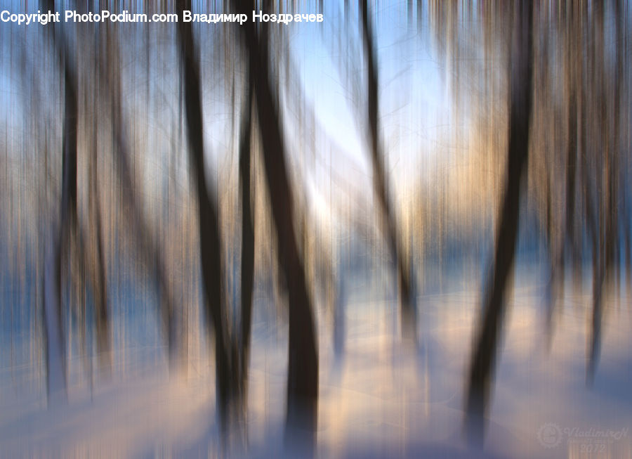Wood, Dawn, Dusk, Sky, Sunrise, Sunset, Grass