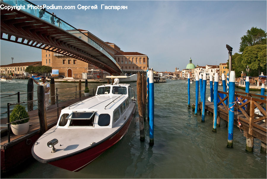 Plant, Potted Plant, Boat, Watercraft, Gondola, Yacht, Dock