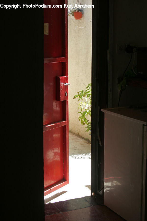 Plant, Potted Plant, Adapter, Connector, Plug, Mailbox, Postbox
