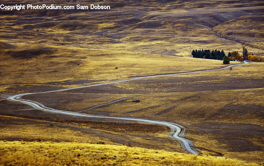 Field, Grass, Grassland, Land, Outdoors, Road, Dirt Road