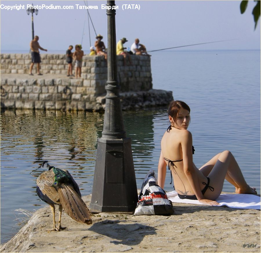 People, Person, Human, Bird, Waterfowl, Footwear, Shoe