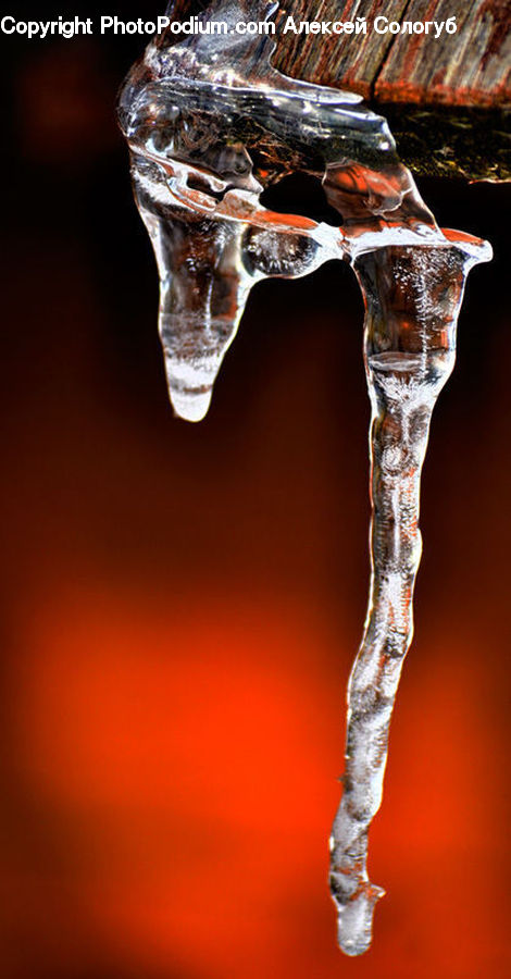 Glass, Goblet, Rust, Emblem, Logo, Art, Sculpture