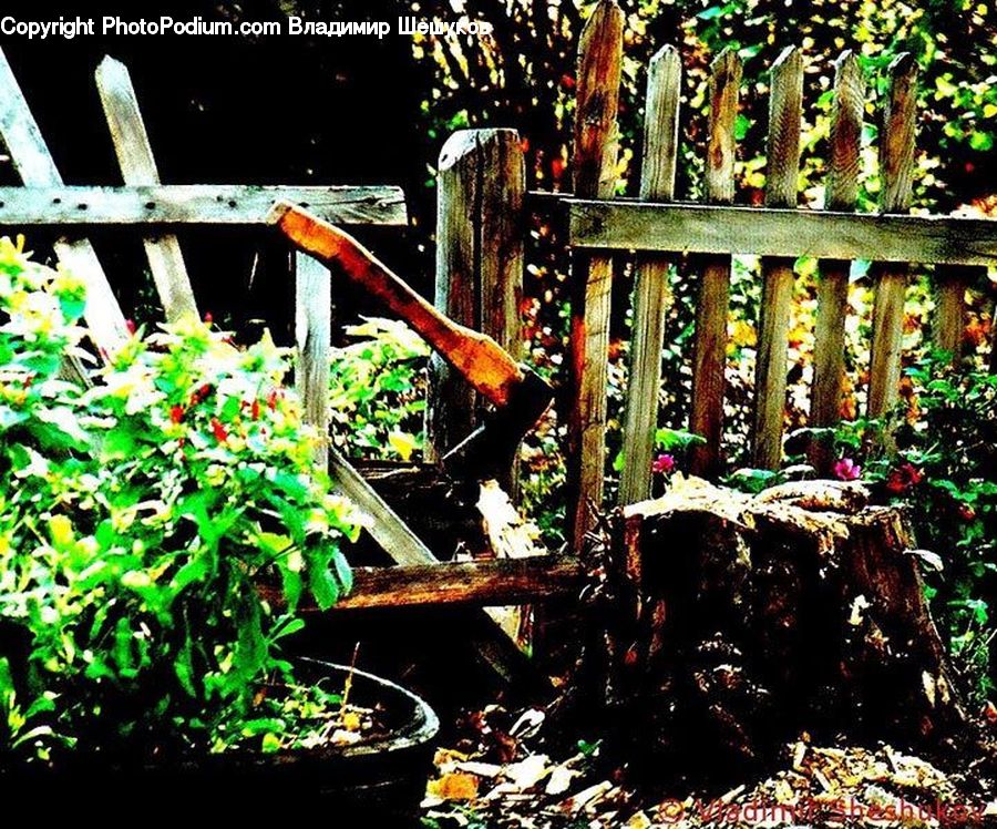 Roof, Tile Roof, Plant, Potted Plant, Tree Stump, Ivy, Vine