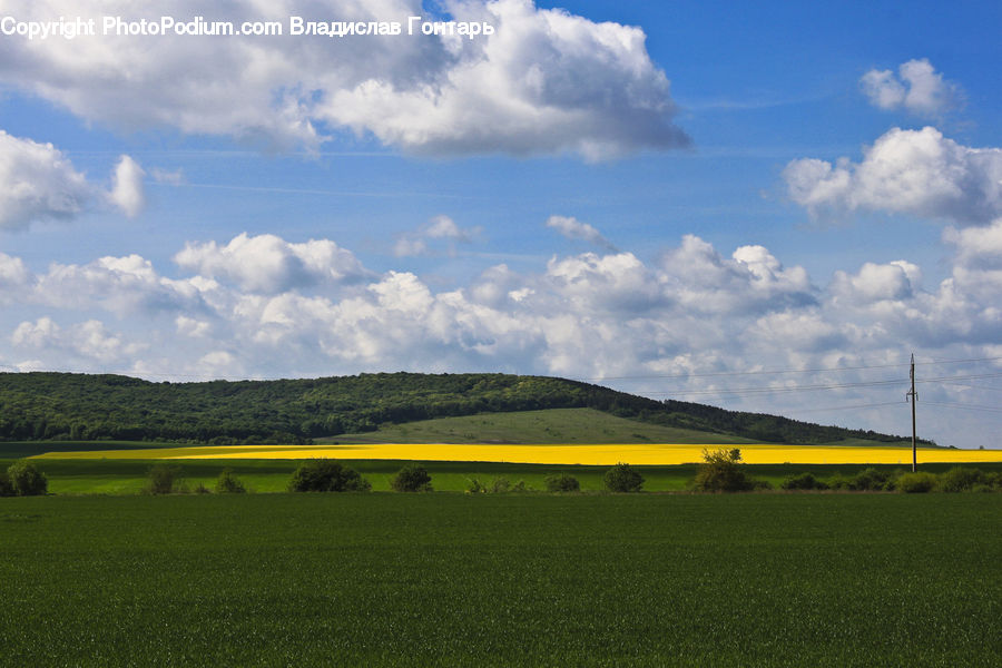 Field, Grass, Grassland, Land, Outdoors, Countryside, Hill
