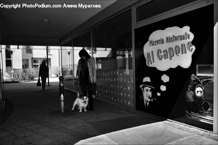 Human, People, Person, Plant, Potted Plant, Animal, Beagle