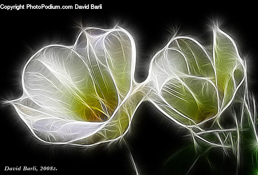 Smoke, Fractal, Plant