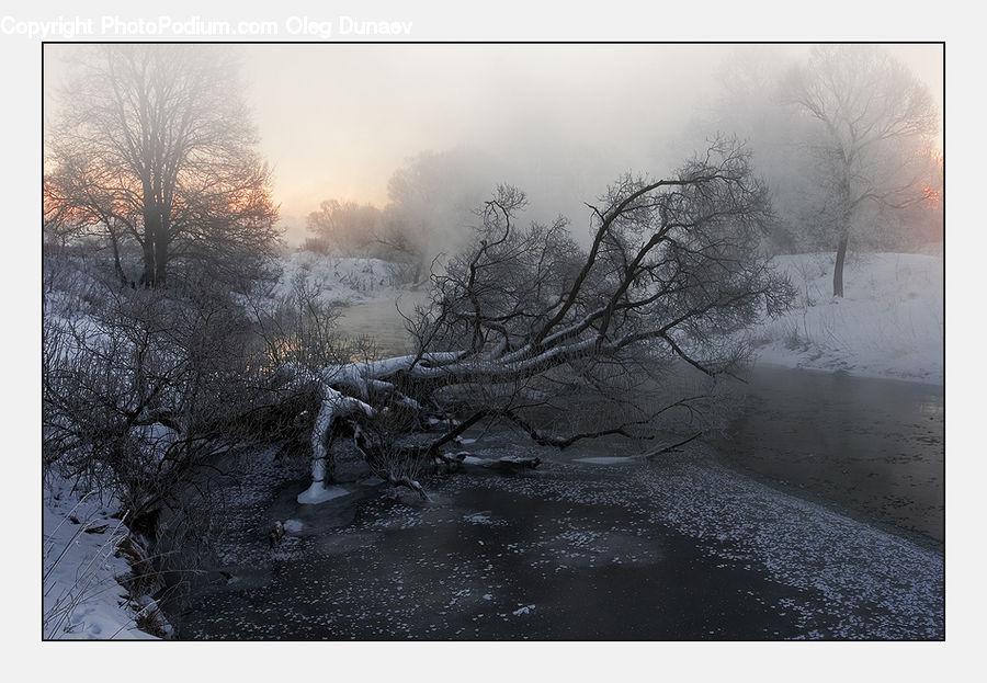 Fog, Art, Modern Art, Landscape, Nature, Scenery, Soil