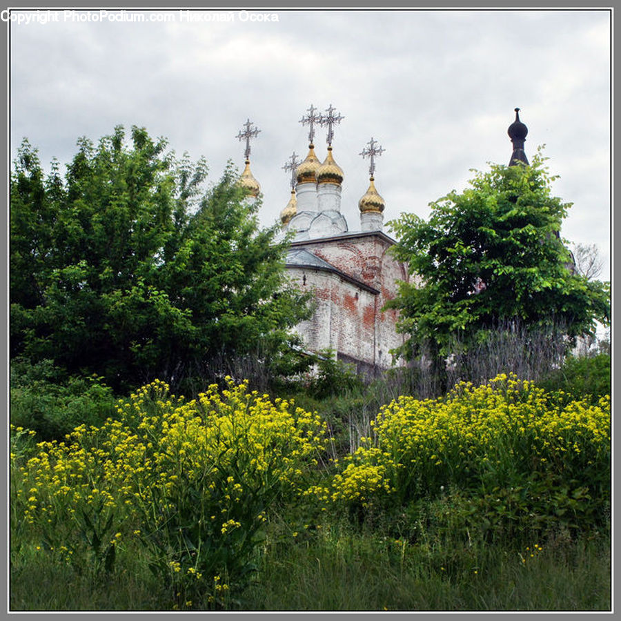 Architecture, Castle, Fort, Beacon, Building, Lighthouse, Water Tower