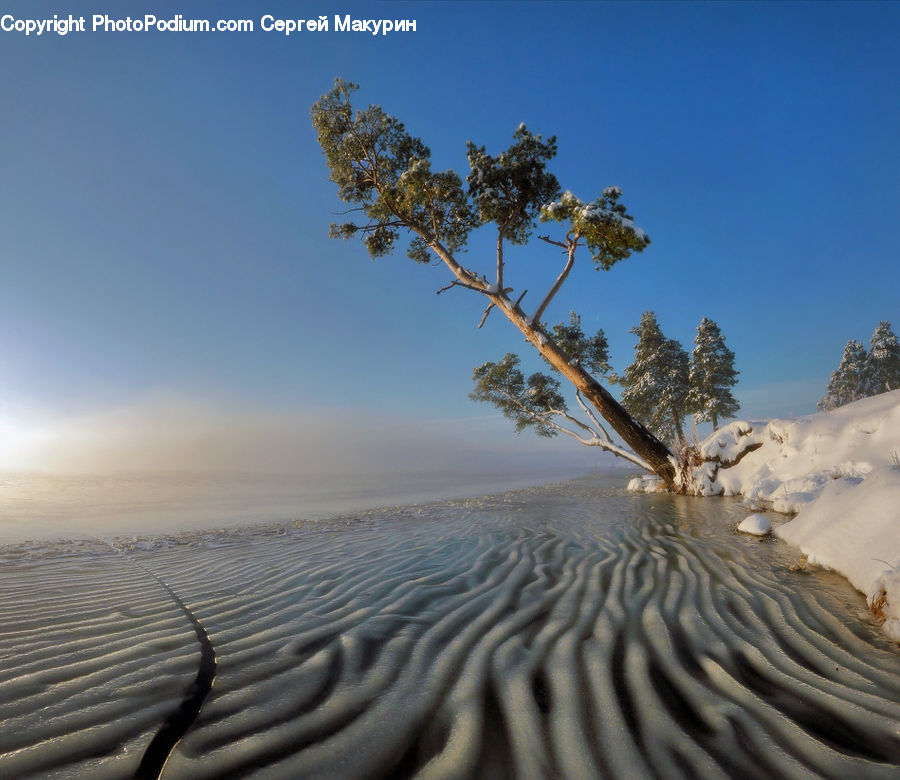 Desert, Outdoors, Dune, Landscape, Nature, Scenery
