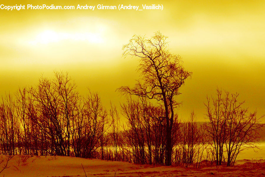 Dawn, Dusk, Sky, Sunrise, Sunset, Outdoors, Sunlight