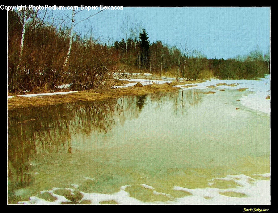 Land, Marsh, Pond, Swamp, Water, Outdoors, Plant