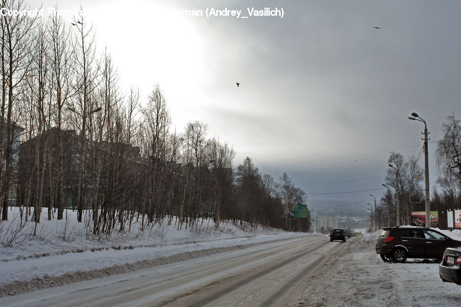 Automobile, Car, Vehicle, Dirt Road, Gravel, Road, Parking