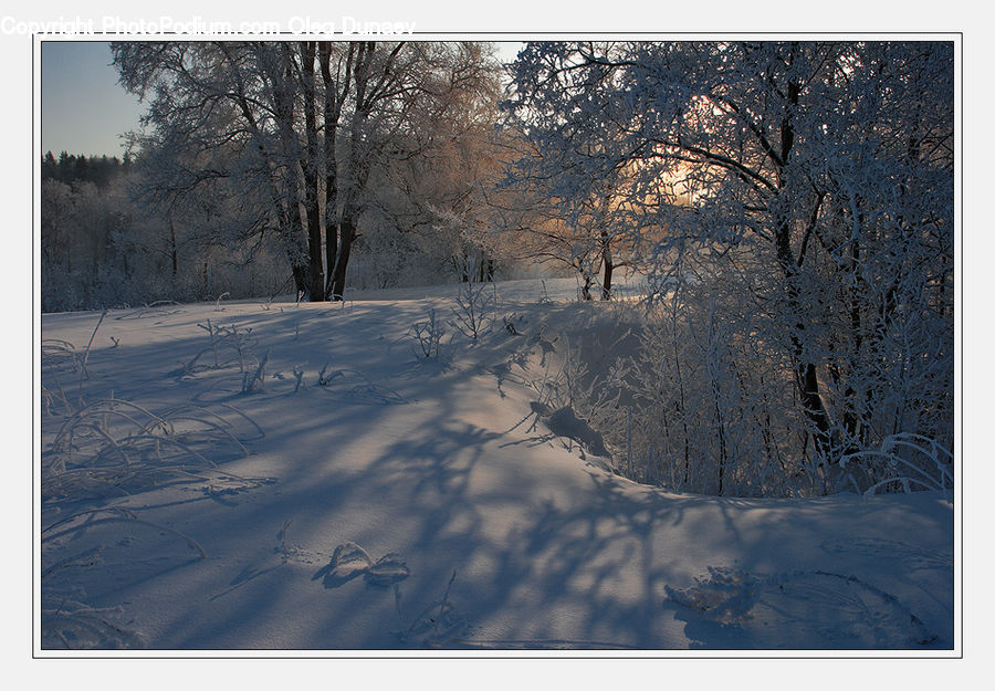 Landscape, Nature, Scenery