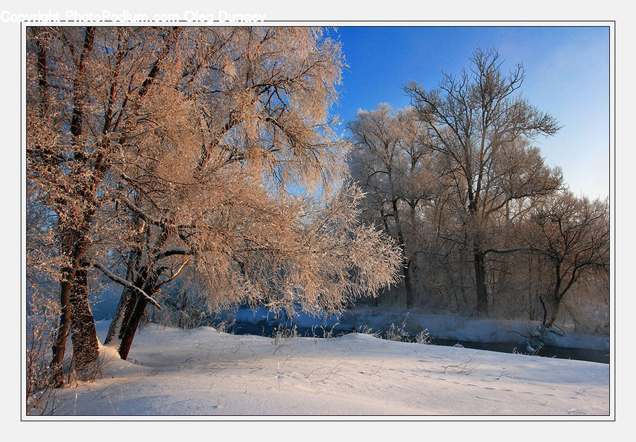 Frost, Ice, Outdoors, Snow, Landscape, Nature, Scenery
