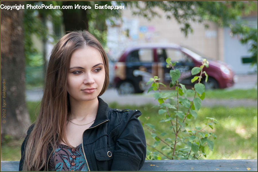 People, Person, Human, Automobile, Car, Vehicle, Female