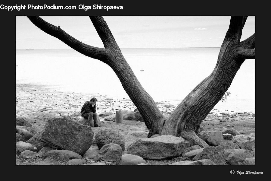 People, Person, Human, Rock, Driftwood, Wood, Outdoors