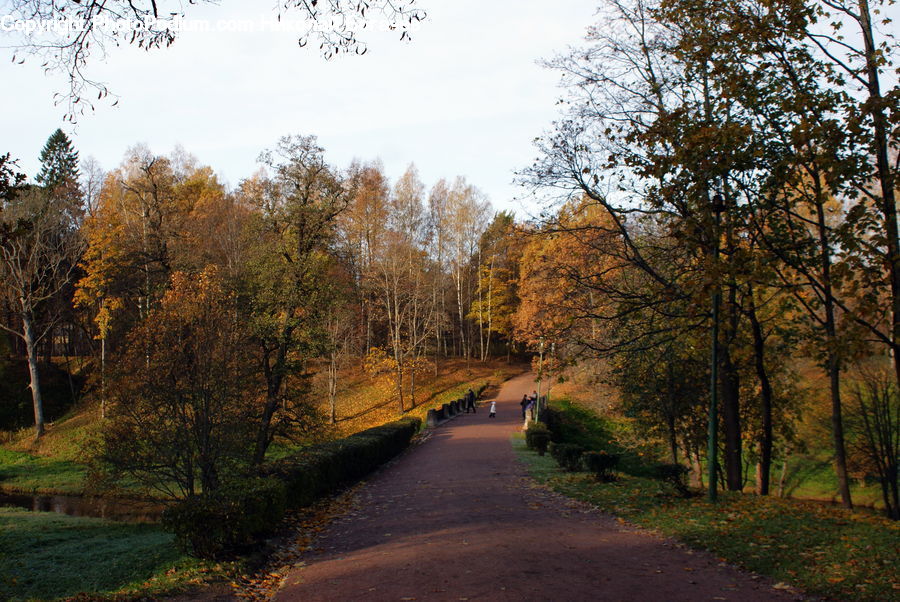 Dirt Road, Gravel, Road, Path, Walkway, Landscape, Nature