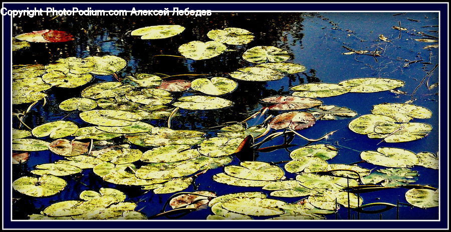 Art, Painting, Cake, Dessert, Food, Outdoors, Pond