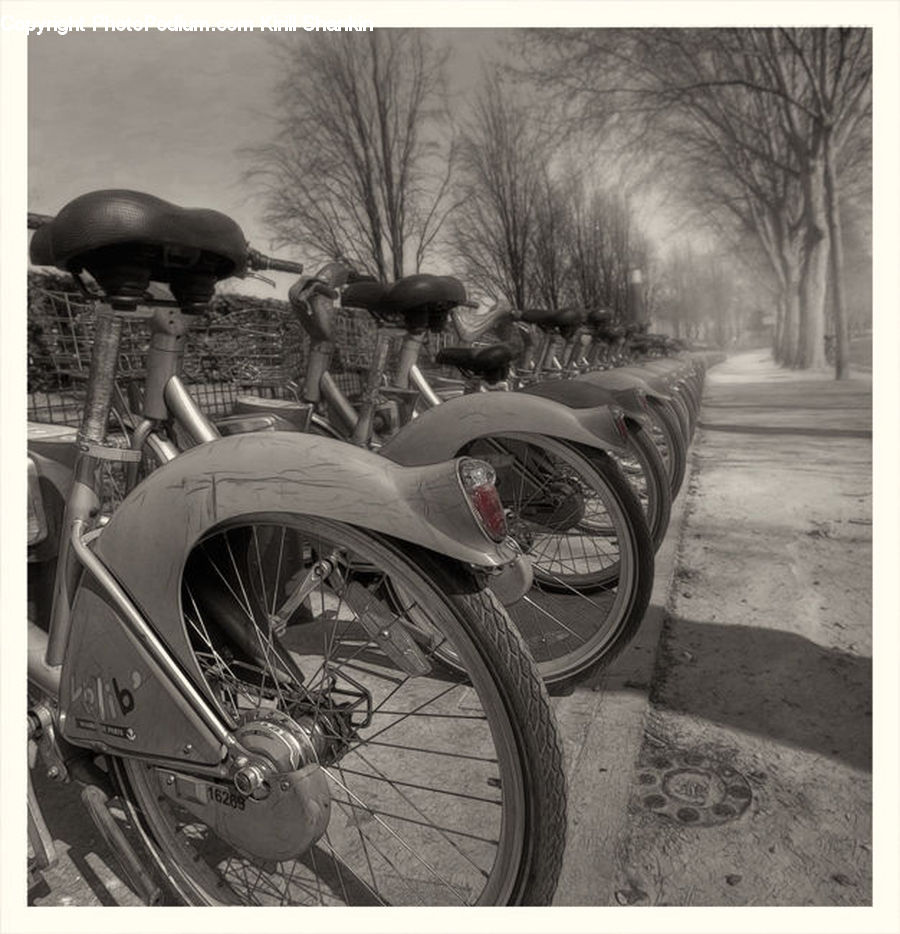 Motor, Motorcycle, Vehicle, Bicycle, Bike, Scooter, Engine