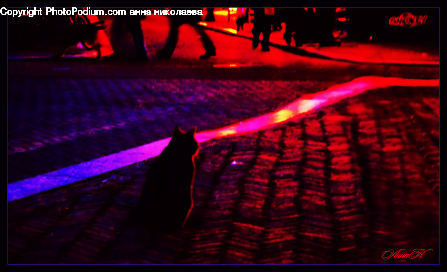 Dance, Dance Pose, Lighting, Pavement, Indoors, Room, Theater