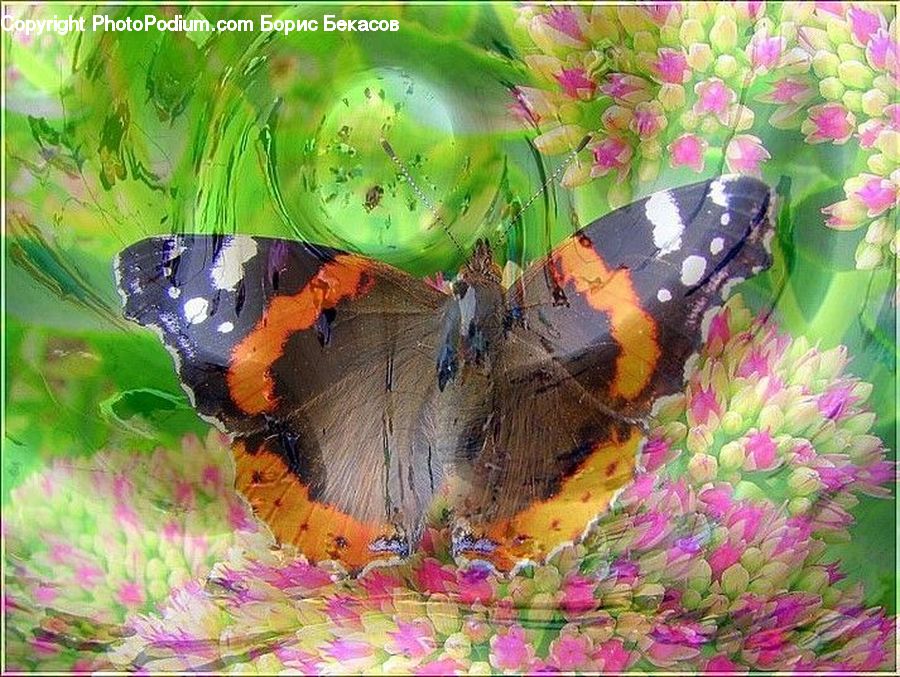 Butterfly, Insect, Invertebrate, Art, Modern Art, Paint Container, Collage