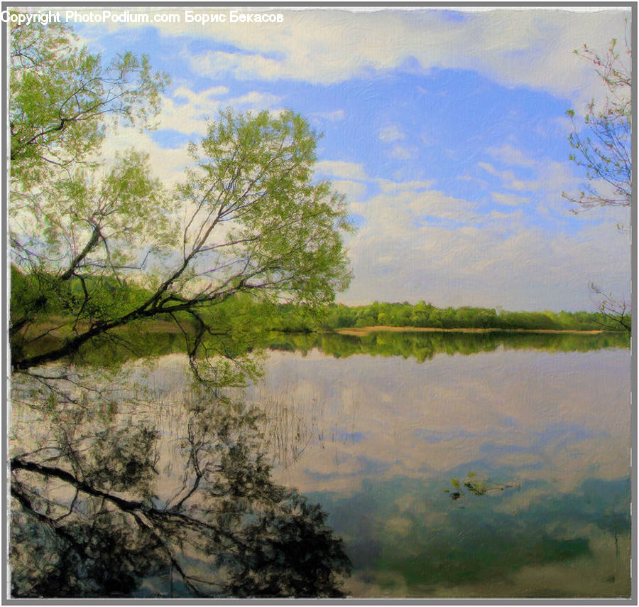 Land, Marsh, Pond, Swamp, Water, Landscape, Nature