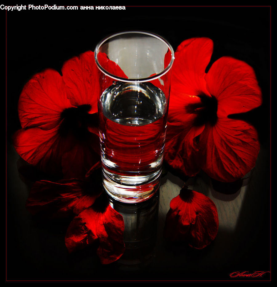 People, Person, Human, Beverage, Coke, Soda, Glass
