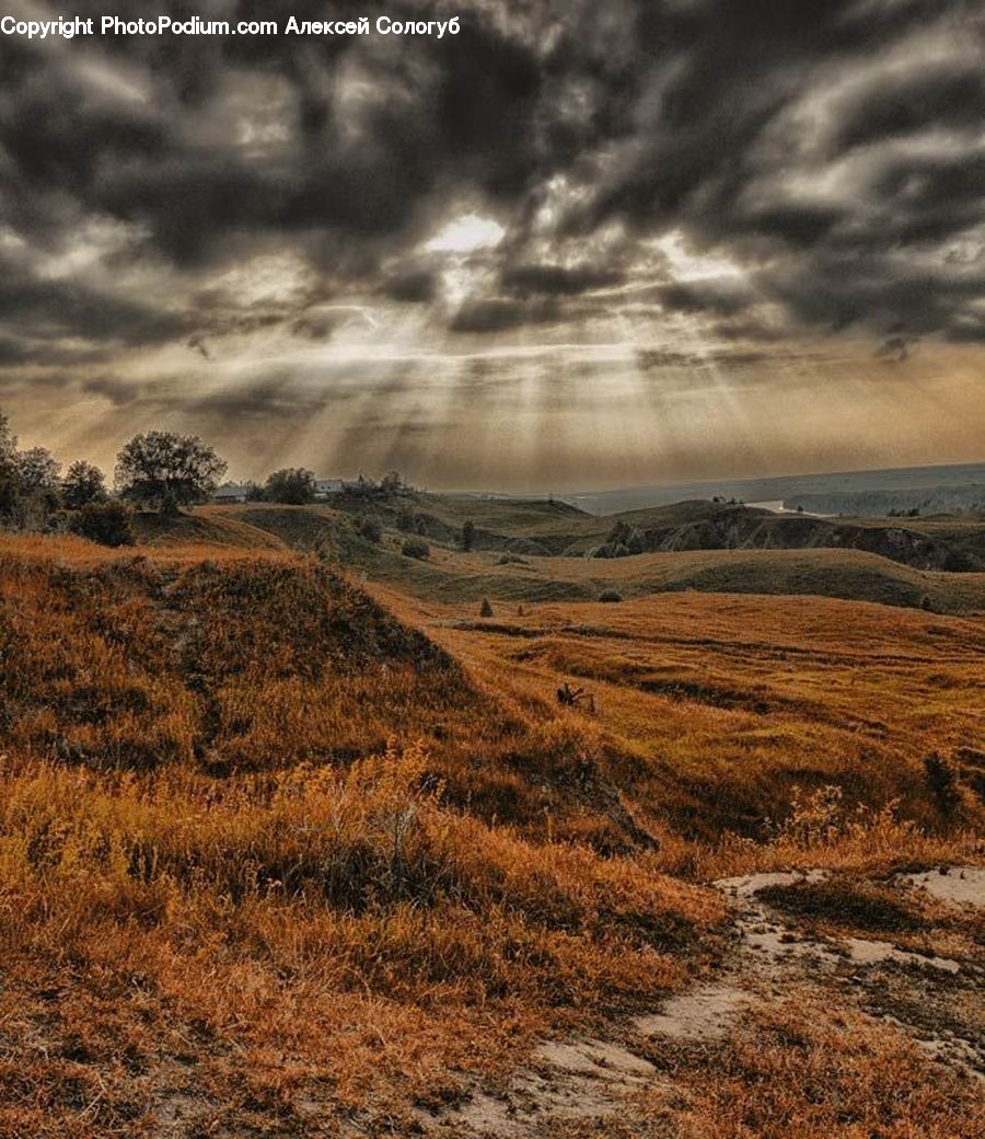 Field, Grass, Grassland, Land, Outdoors, Dirt Road, Gravel