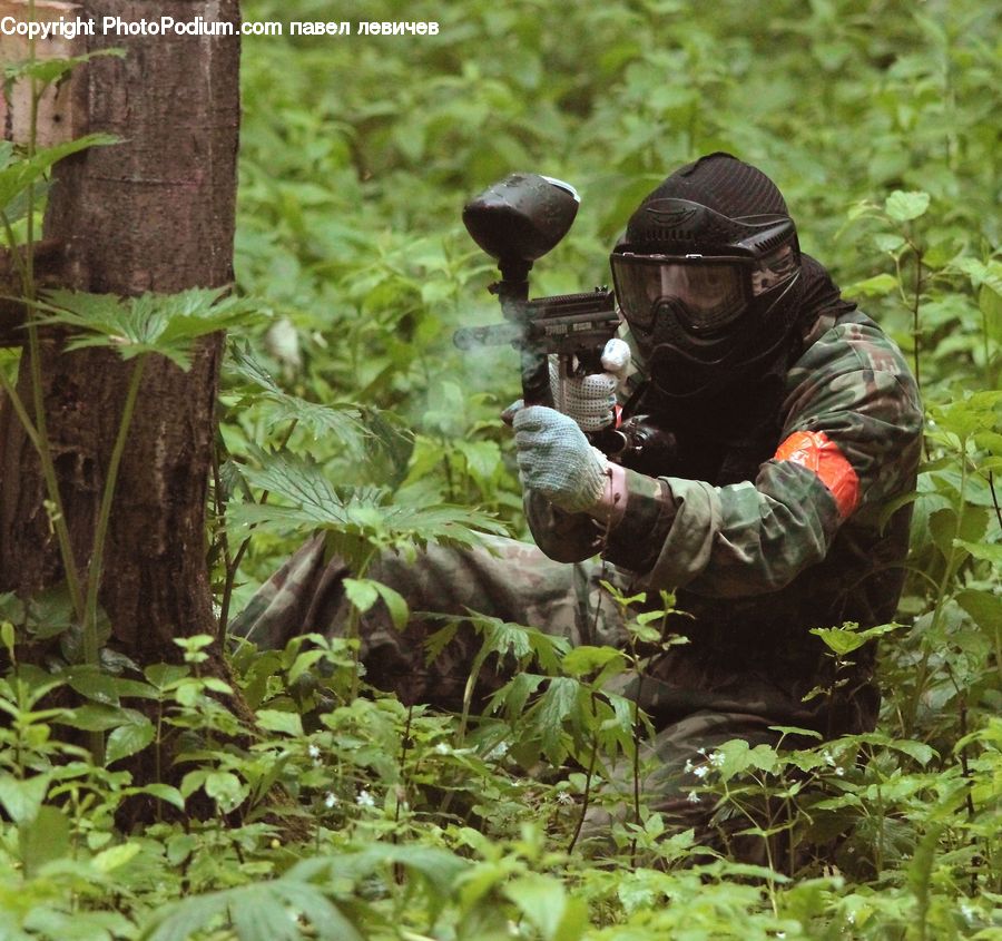 Paintball, Ivy, Plant, Vine, Weapon, Blossom, Flora