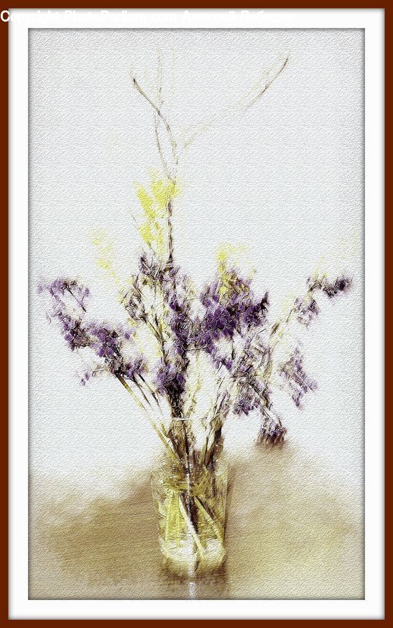 Blossom, Flower, Lilac, Plant, Flower Arrangement, Ikebana, Potted Plant