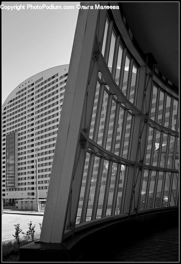 Plant, Potted Plant, City, Downtown, Urban, Building, Housing